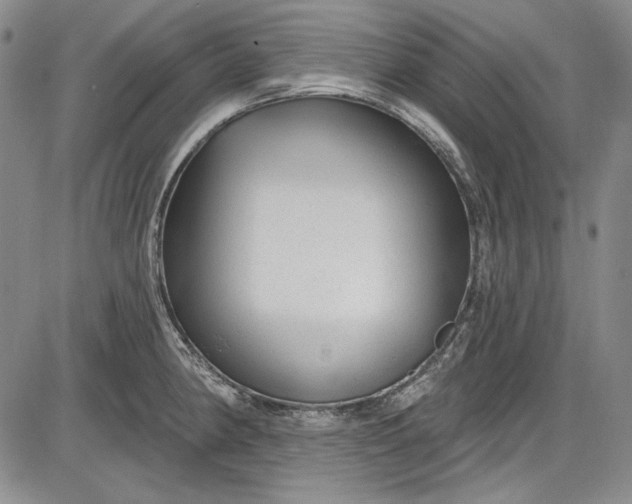 X0000085761190200703301420