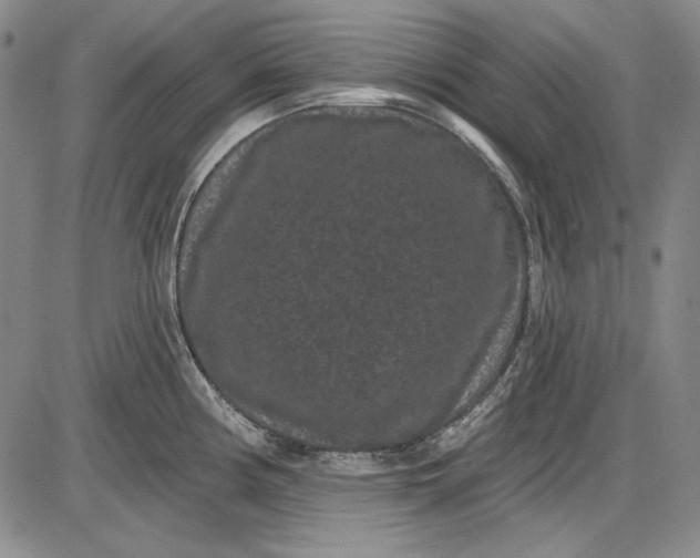 X0000085761194200703301420