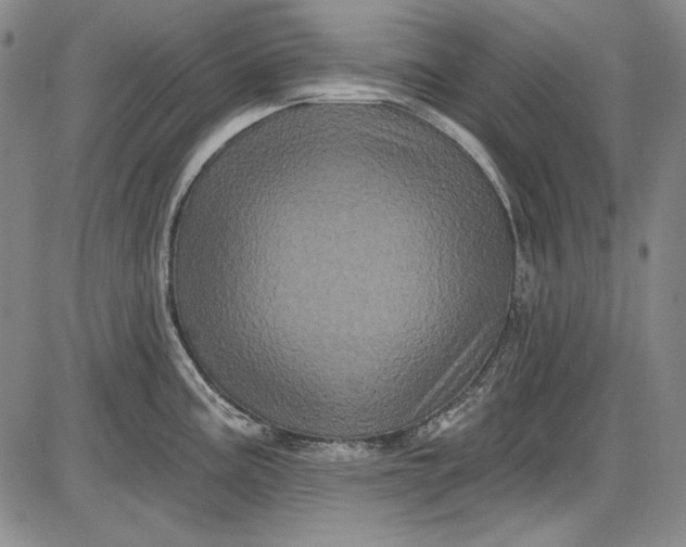 X0000085761195200703301420