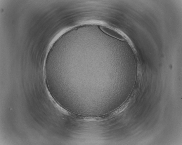 X0000085761199200703301420