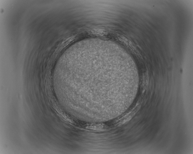 X0000085761201200703301419