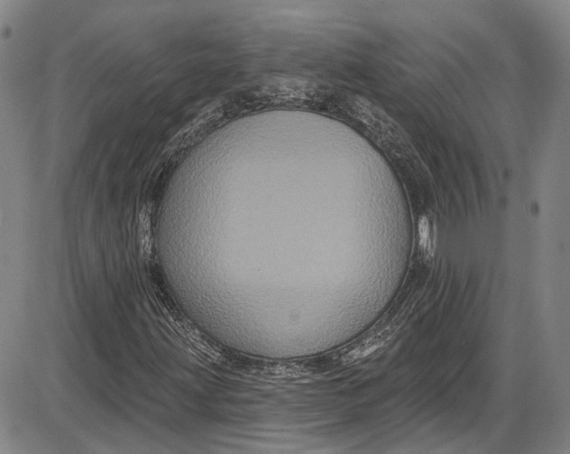 X0000085761203200703301419