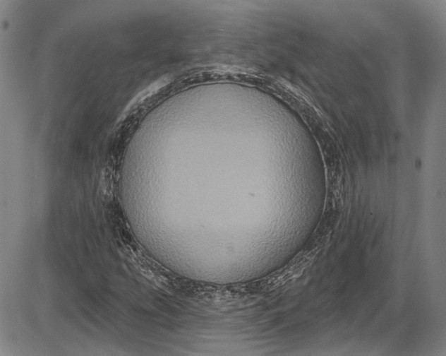 X0000085761207200703301419