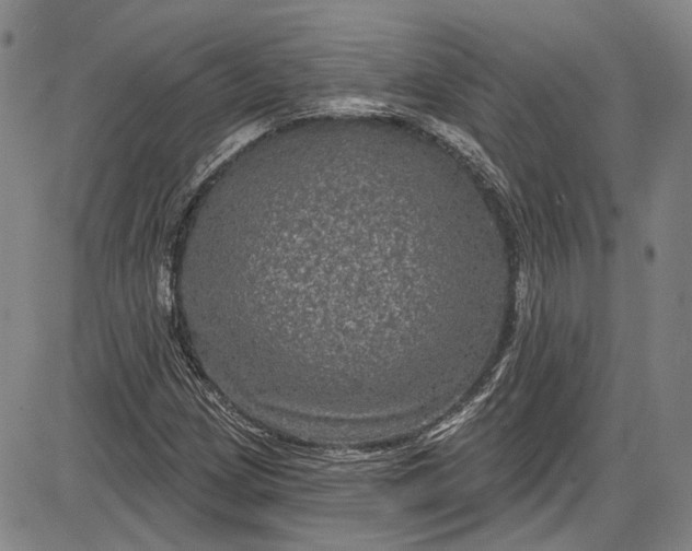 X0000085761209200703301419