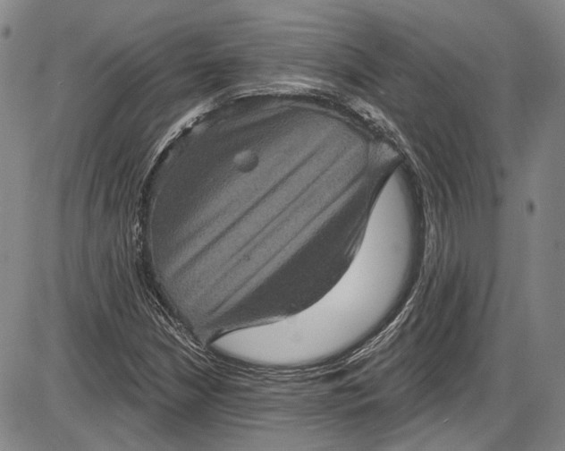 X0000085761210200703301419