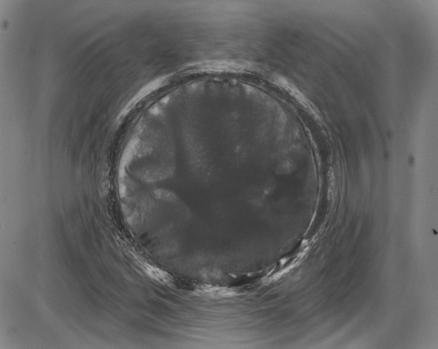 X0000085761213200703301419