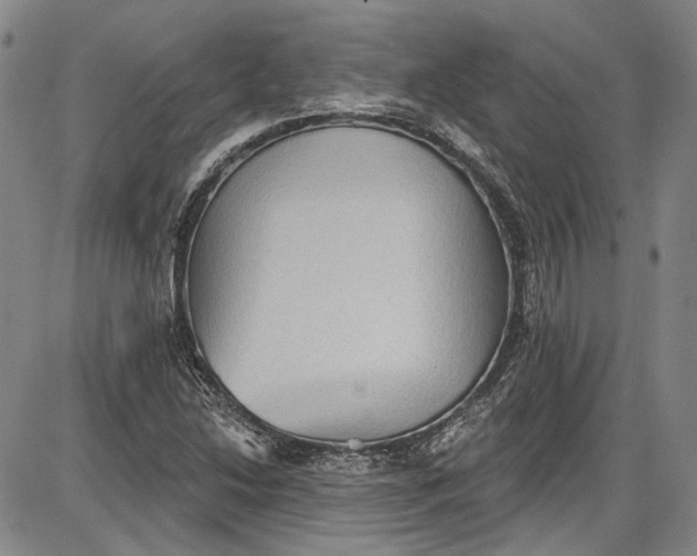 X0000085761214200703301419