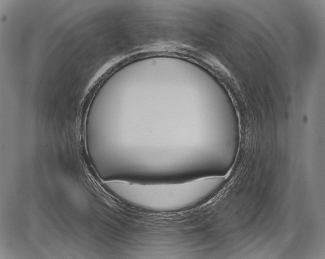 X0000085761216200703301419