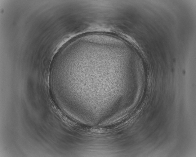 X0000085761220200703301419