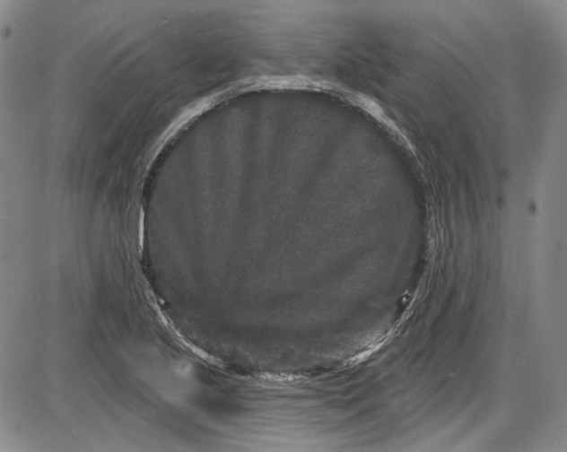 X0000085761221200703301419