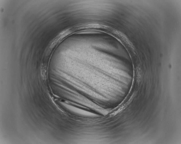 X0000085761225200703301419
