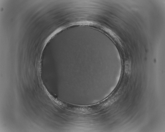 X0000085761229200703301419