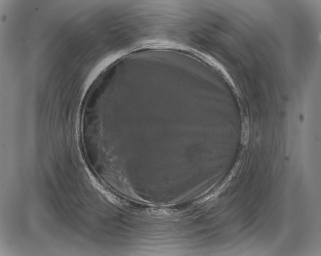 X0000085761231200703301419