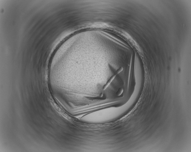 X0000085761232200703301420