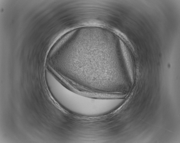 X0000085761236200703301420