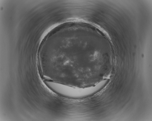 X0000085761239200703301420