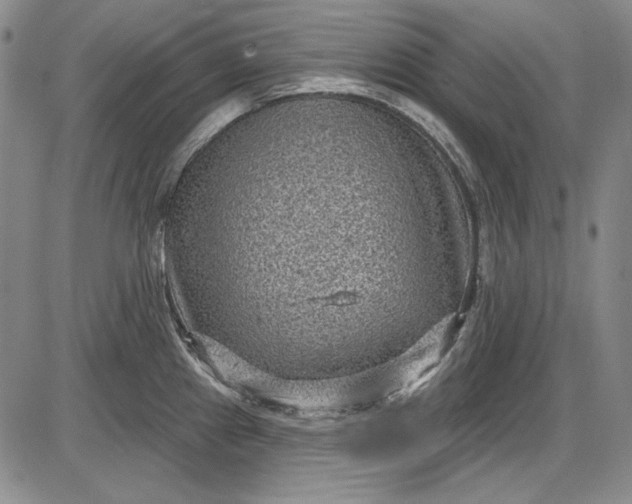 X0000085761241200703301420