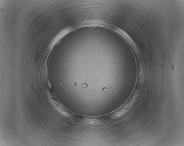 X0000085761242200703301420