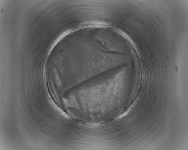 X0000085761243200703301420