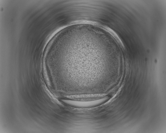 X0000085761244200703301420