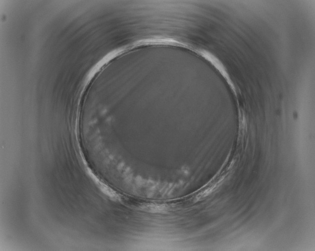 X0000085761245200703301420