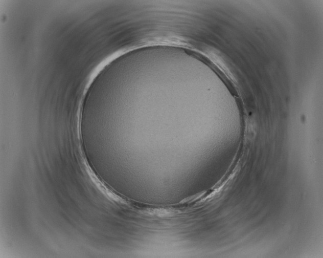 X0000085761246200703301420