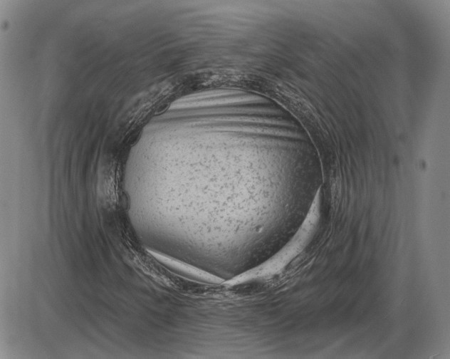 X0000085761250200703301419
