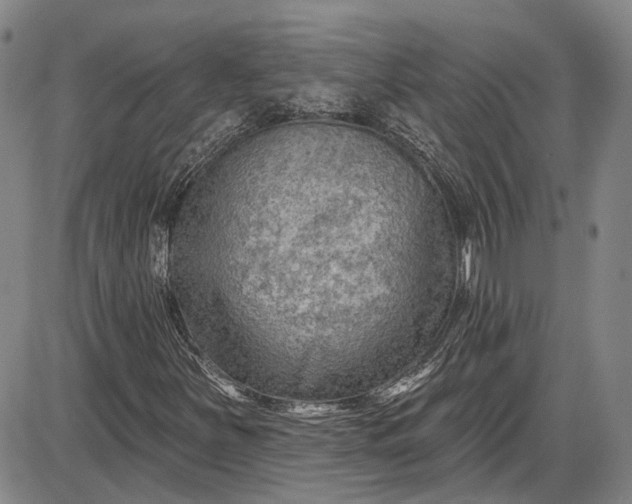 X0000085761251200703301419