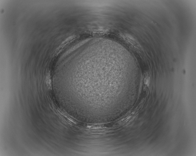 X0000085761252200703301419