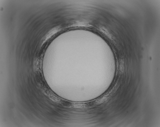 X0000085761258200703301419