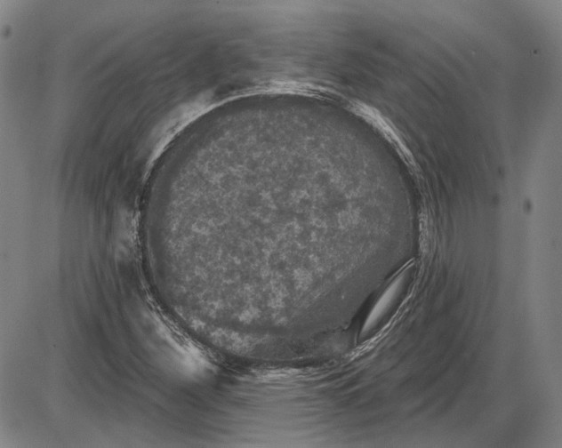 X0000085761260200703301419