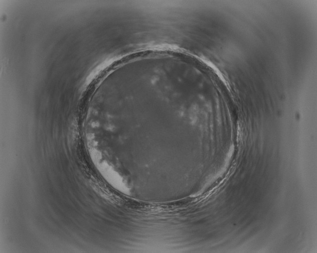 X0000085761263200703301419