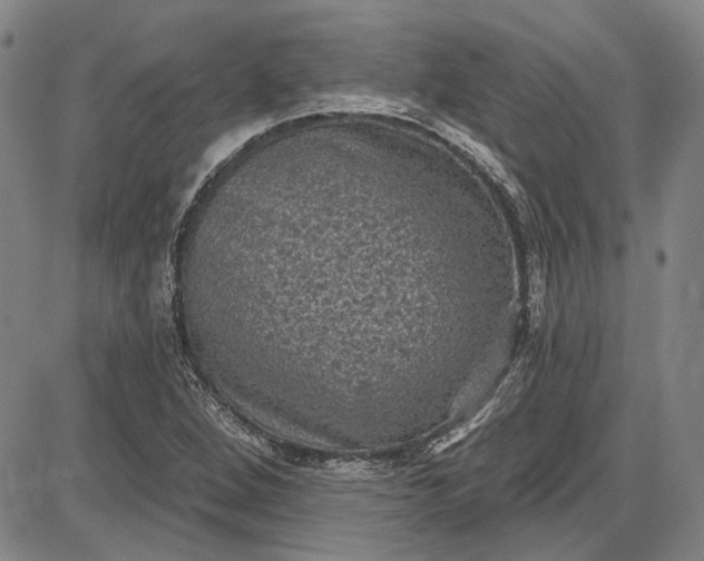 X0000085761264200703301419