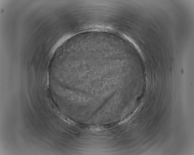 X0000085761267200703301419