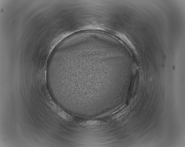 X0000085761268200703301419