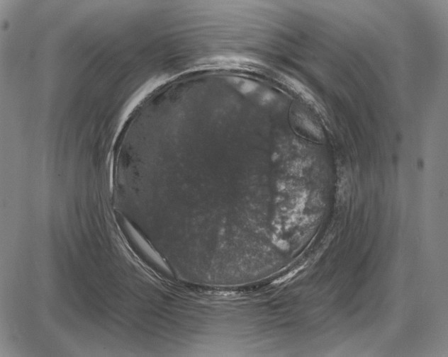 X0000085761275200703301419
