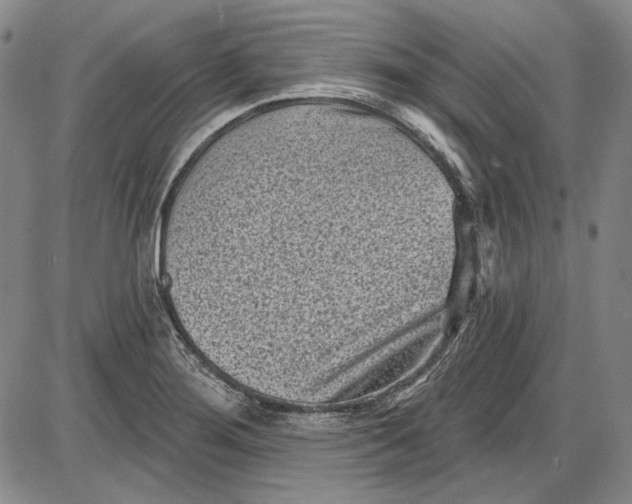 X0000085761276200703301419