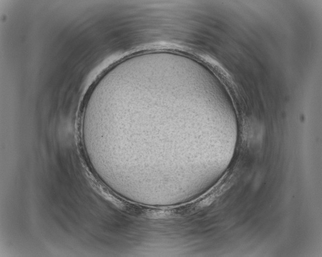 X0000085761278200703301418