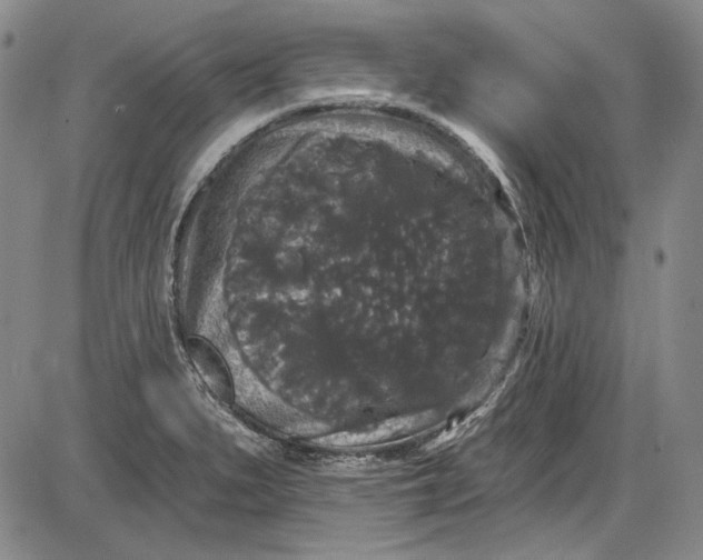X0000085761279200703301418
