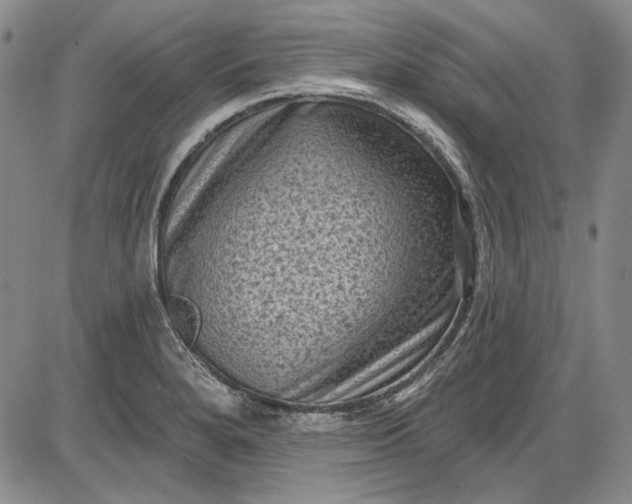 X0000085761280200703301418
