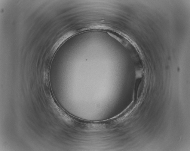 X0000085761281200703301418