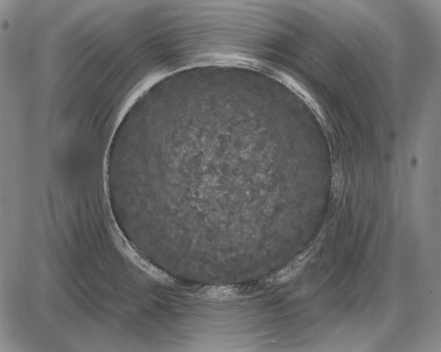 X0000085761283200703301418