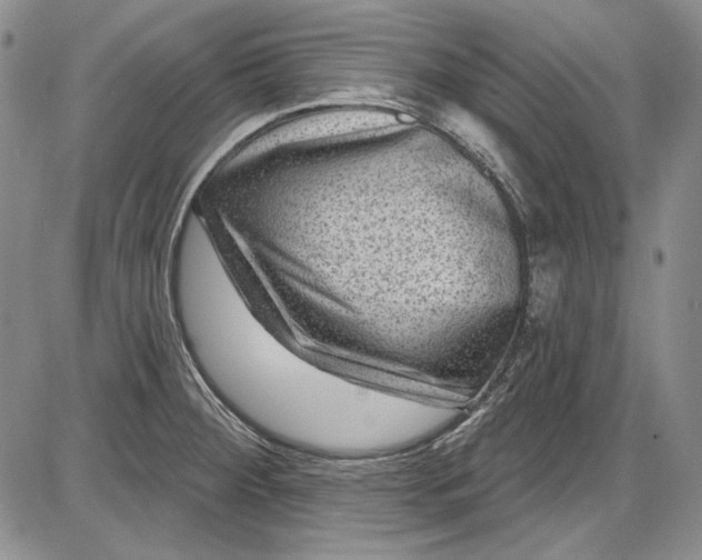 X0000085761284200703301418