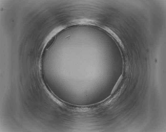 X0000085761285200703301418