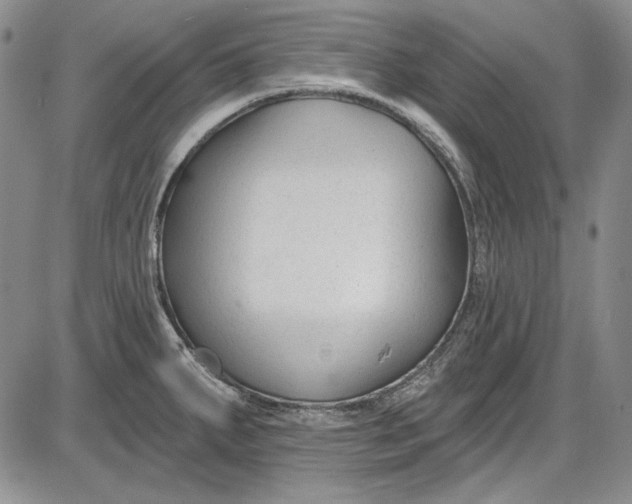 X0000085761287200703301418