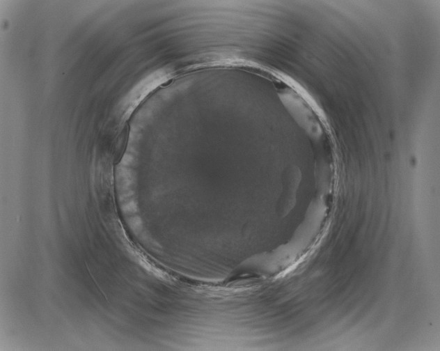 X0000085761289200703301418
