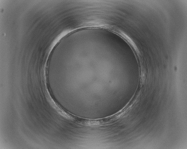 X0000085761291200703301418