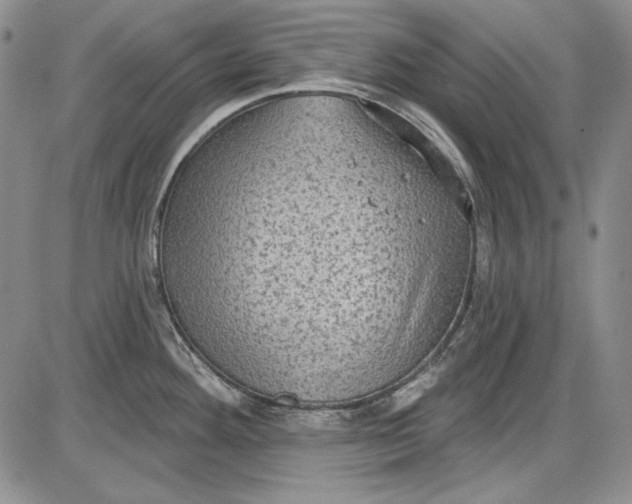 X0000085761292200703301418