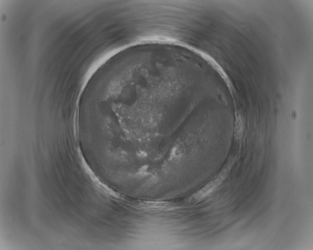 X0000085761295200703301418