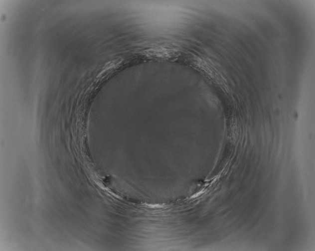X0000085761297200703301417